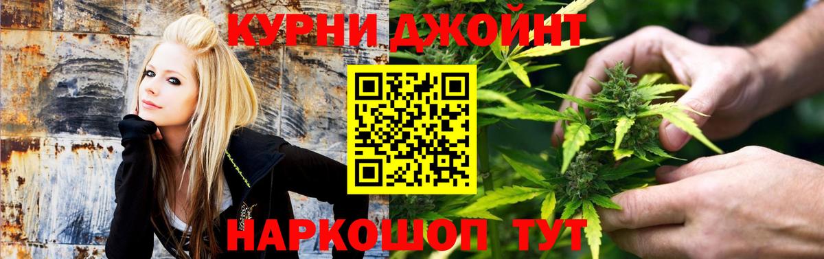 Конопля марихуана Будённовск